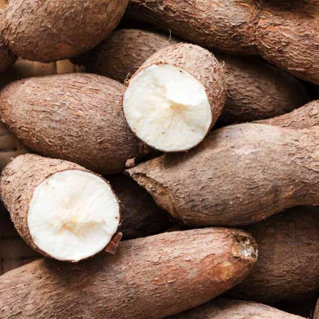 Cassava