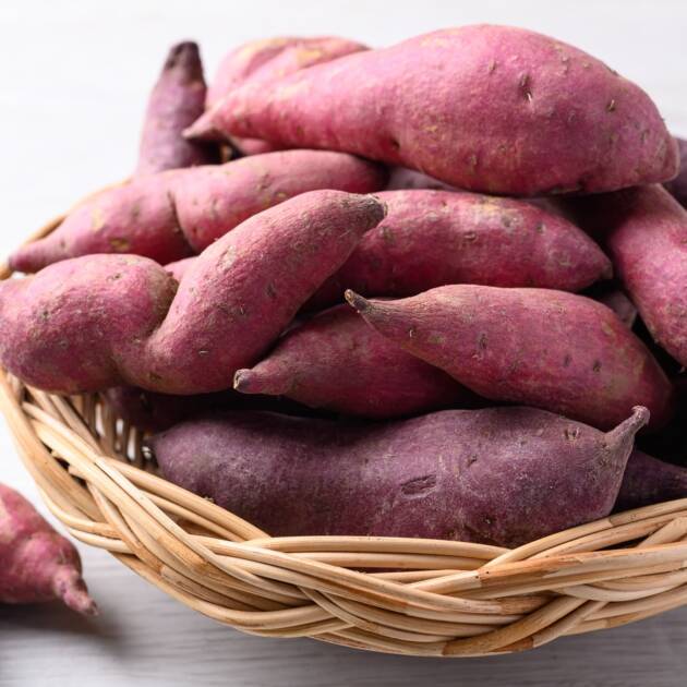 Sweet Potato